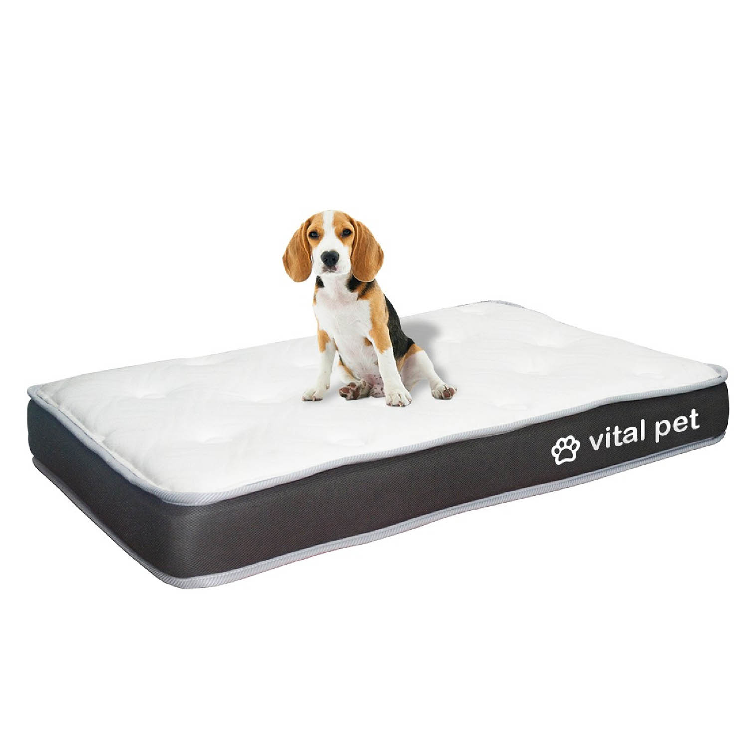 Vital Pet Plus Confort Vital